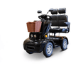 Image of EW-88 Two Person Four Wheel Mobility Scooter