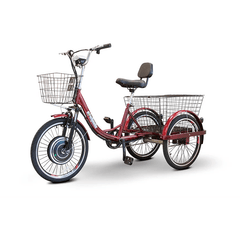 EW-29 Three Wheel Electric Trike