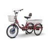 Image of EW-29 Three Wheel Electric Trike