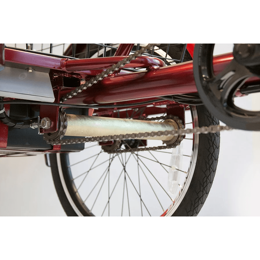 EW-29 Three Wheel Electric Trike