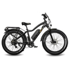 Image of BAM EW-Supreme Power Electric Bike