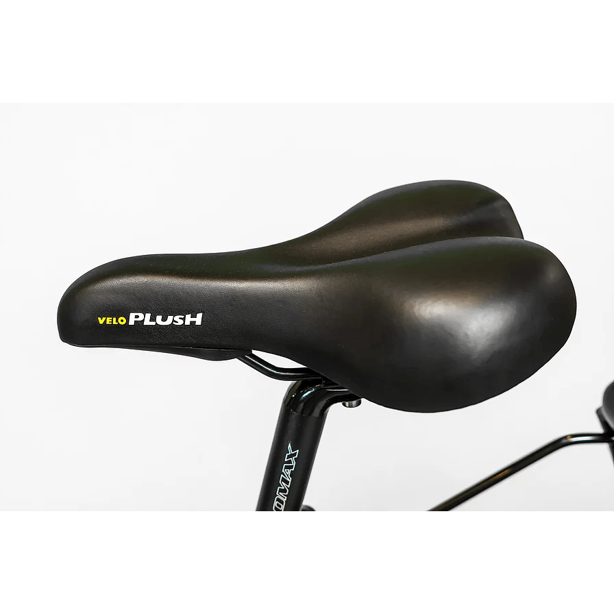 BAM EW-Supreme Power Electric Bike