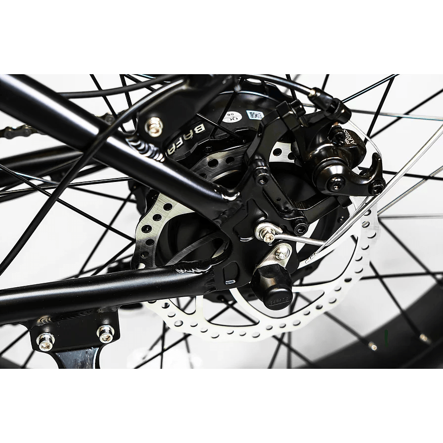 BAM EW-Supreme Power Electric Bike