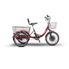 EW-29 Three Wheel Electric Trike