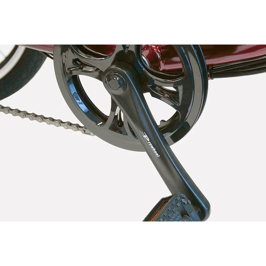 EW-29 Three Wheel Electric Trike