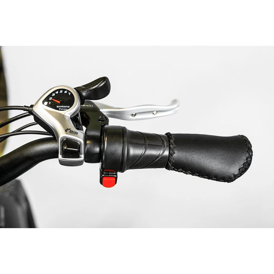 BAM EW-Supreme Power Electric Bike