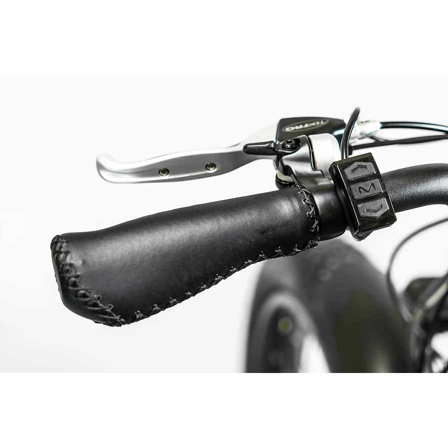 BAM EW-Supreme Power Electric Bike