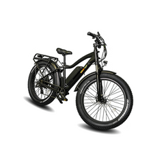 BAM EW-Supreme Power Electric Bike