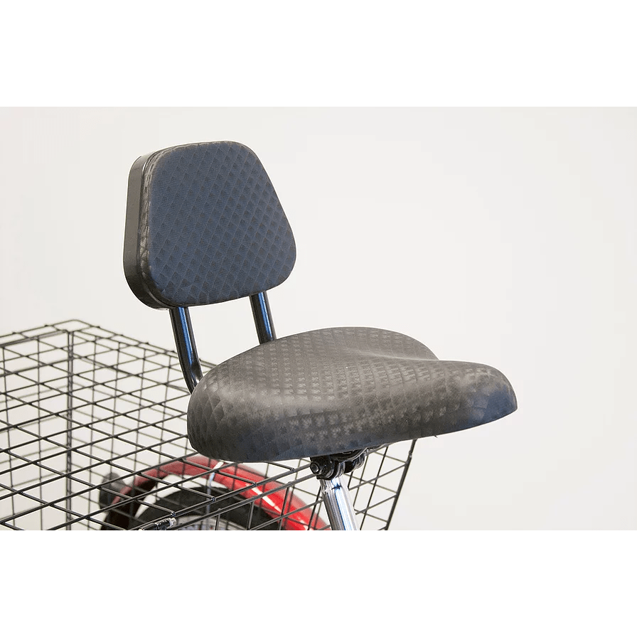 EW-29 Three Wheel Electric Trike