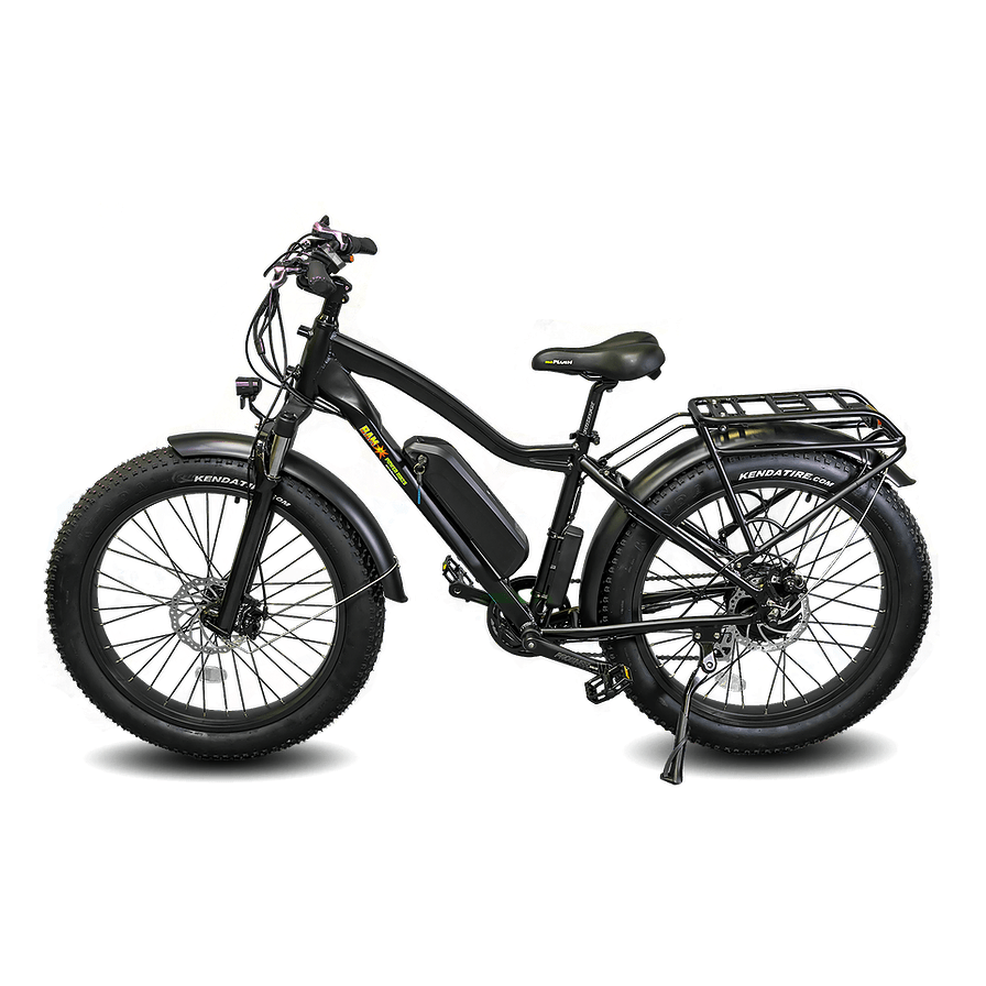 BAM EW-Supreme Power Electric Bike
