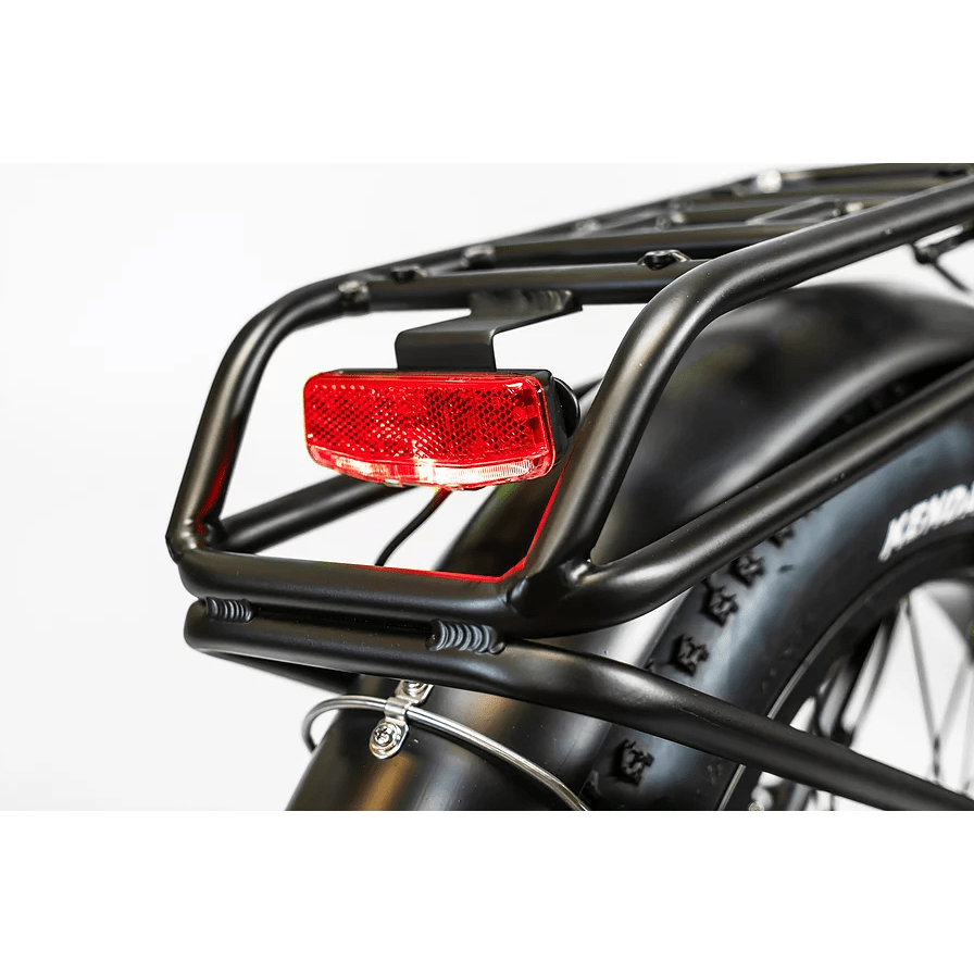 BAM EW-Supreme Power Electric Bike