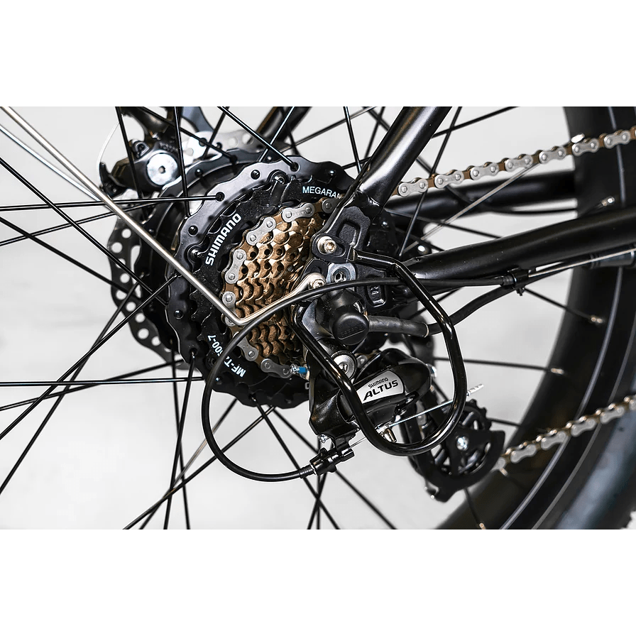 BAM EW-Supreme Power Electric Bike