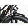 Image of BAM EW-Supreme Power Electric Bike