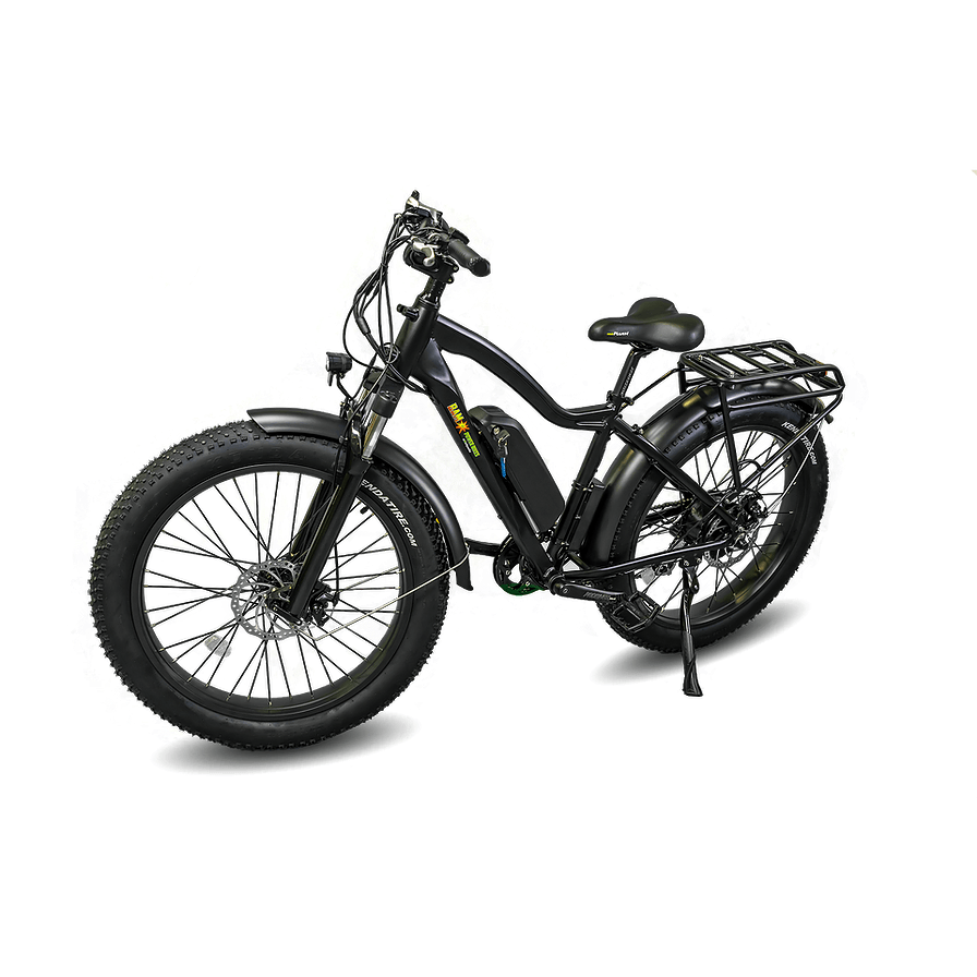 BAM EW-Supreme Power Electric Bike