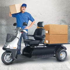 Electric Three-Wheel Mobility Scooter FTM3014